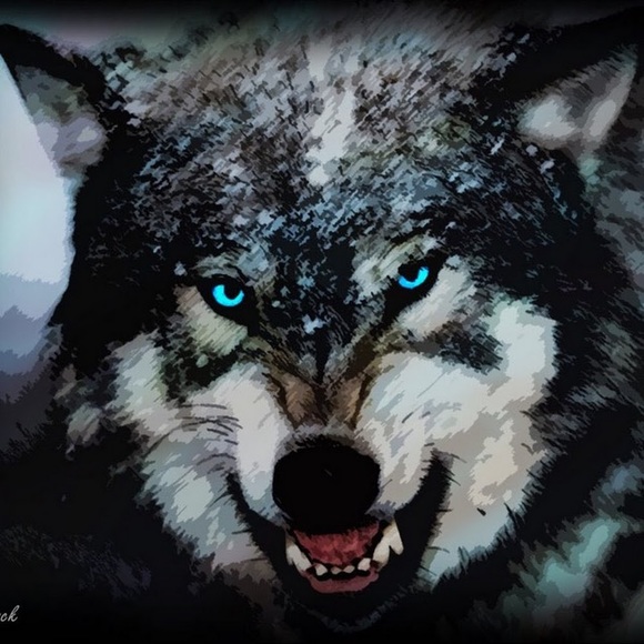 Meet your Posher, Maribel - Picture 1 of 1